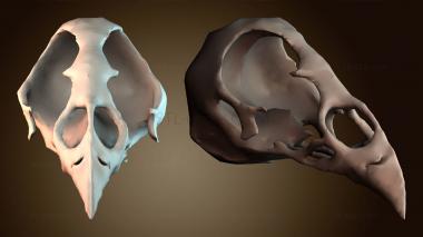 3D мадэль STKJ_9285 (STL)