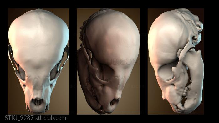 Статуэтки животных STKJ_9287