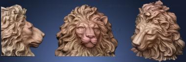 3D model Lion Bust Refrigerator  Whiteboard Magnets (STL)