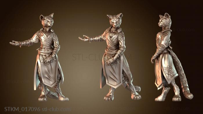 Amalya Tabaxi Monk