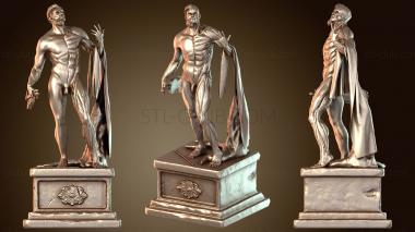 3D мадэль Анатомия Энрике Грим Арт (STL)