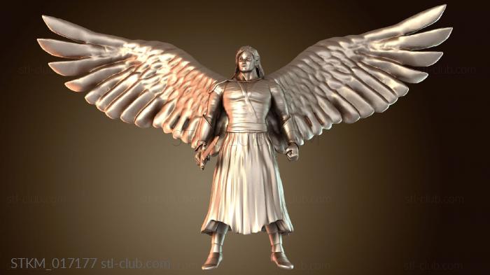 Angel Solar Defender