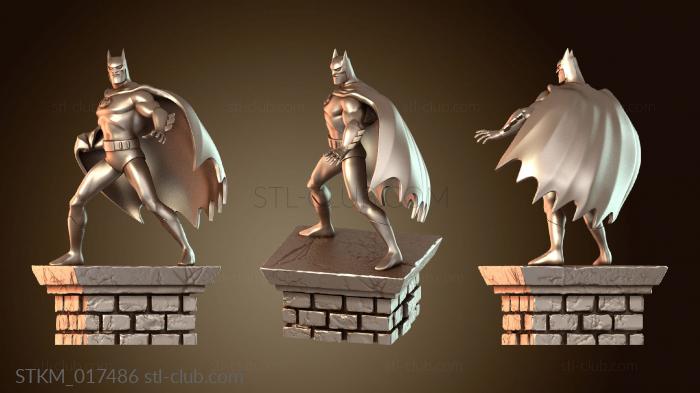 Batman vs Bane Entero