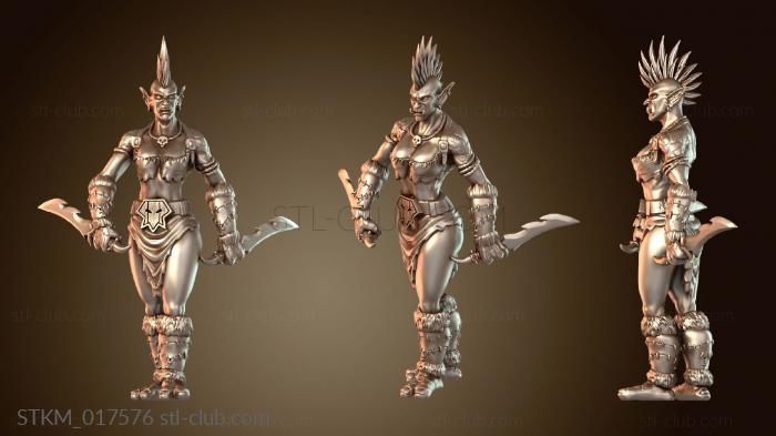 Статуэтки герои, монстры и демоны Berserker Rogue with Daggers Zand