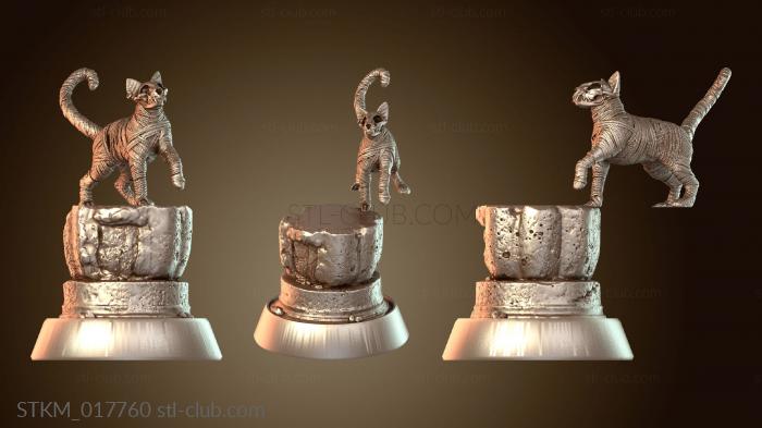 Статуэтки герои, монстры и демоны Buried Tomb Mr. Snuggles