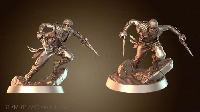 Статуэтки герои, монстры и демоны Buried Tomb Sanjay the Shadow