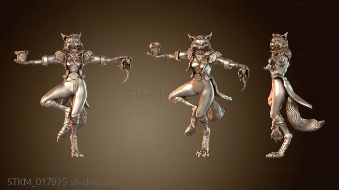 Статуэтки герои, монстры и демоны Cat Folk Magician Greetings