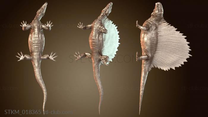 Dimetrodon Level Creature