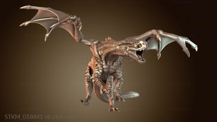 Dragon Baby Screaming