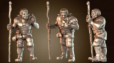 3D model Firbolg Druid Shaman (STL)