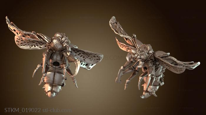 Fly Riders Buzzing Raiders