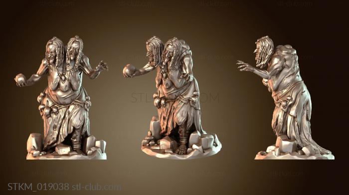 Статуэтки герои, монстры и демоны Fomorian Witch Hexbound