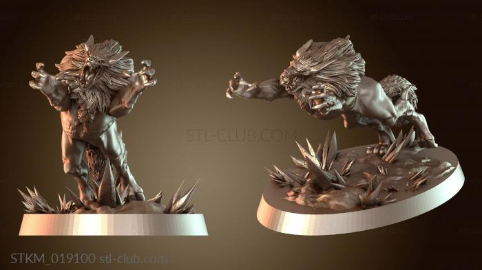 Frost Wolf Elemental