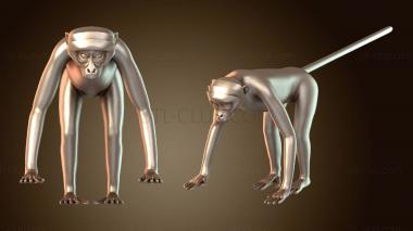 3D model Geometries Silver Keyed Monkey (STL)