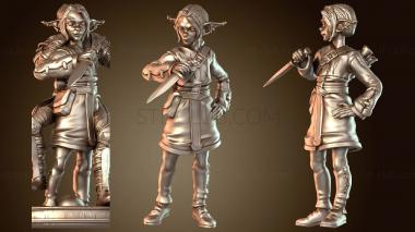 3D model Goblin Rogue Nulsai Shadow (STL)