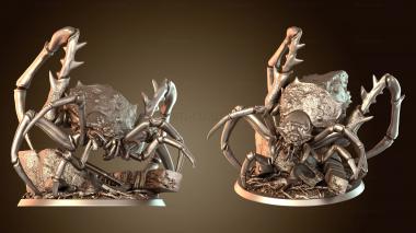 3D model Goblin Spider Monk Wild Cloaked (STL)