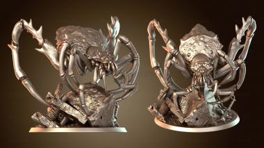 3D model Goblin Spider Rogue Wild Outlaw (STL)