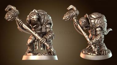 3D model Jadeshell Turtlekin Cunning (STL)