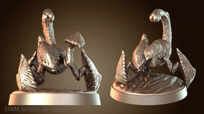 Juvenile Clers Clever