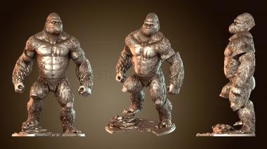 3D model Khong Valiant (STL)