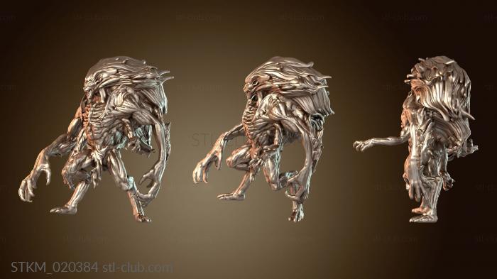 King Dralfar Wyrmspawn Cursed