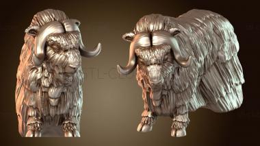 3D model Musk Ox (STL)