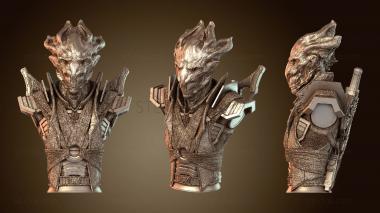3D model Nyahrr Thritoni Bust (STL)