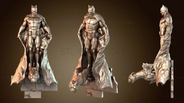 3D model Others Ahsoka (STL)