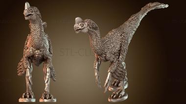 3D model Oviraptor Arm (STL)