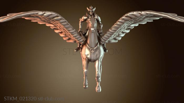 Paladin on Pegasus