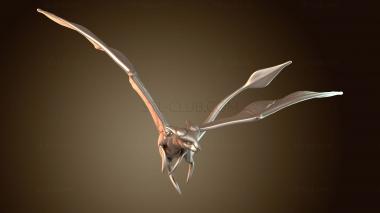 3D model Raster Augnd (STL)