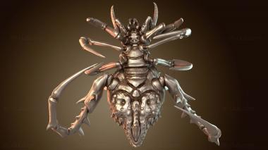 3D model Spider Alchemist Wildform (STL)