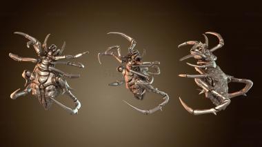 3D мадэль Паук Монах Дикорожденный (STL)