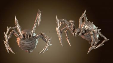 3D model Spider Small Bold (STL)