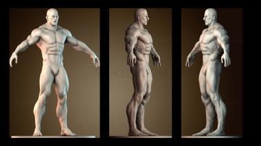 3D мадэль Культурист (STL)