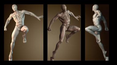 3D model Spiderman body clean (STL)