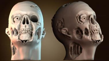 3D model Zombie pen holder - head (STL)