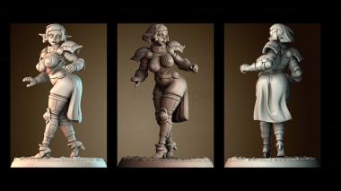 3D мадэль STKM_024137 (STL)