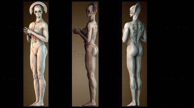 3D model Cursed female warrior (STL)