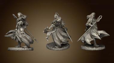 3D model The Queens Web Underworld Dark Elves Arcane Oathsworn (STL)