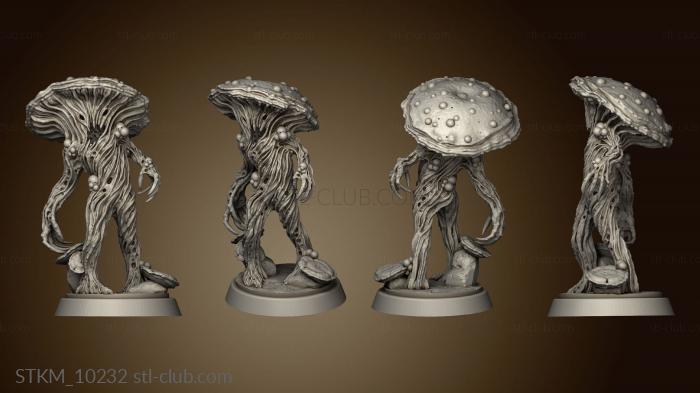 3D model Nightmare Grotto Fungi Mushroom Man (STL)