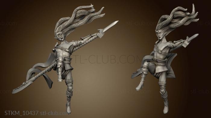 3D model WARDANCERS (STL)