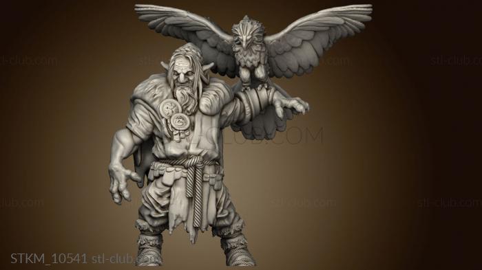 3D model Firbolgs Firbolg Druid (STL)