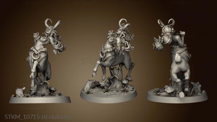 3D model Centaurs centaur druid (STL)