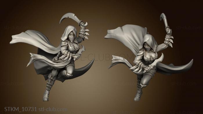 3D model Thieves the Shadowlands Guild Newlin Street Runner (STL)