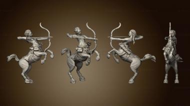 3D model Forest Tribe Centaur Waste (STL)