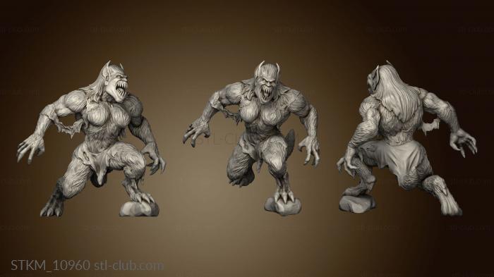 3D model Witcher Contract Female Werebeast (STL)