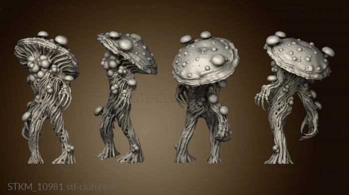 Nightmare Grotto Fungi Mushroom Men