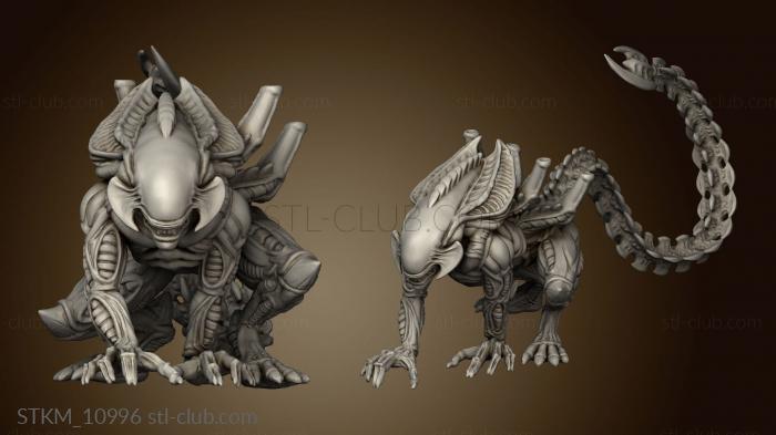 3D model XENO BROOD ALPHA WARRIOR (STL)