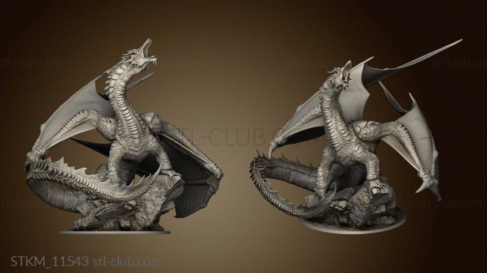 3D model adult brine dragon brine dragon wing (STL)